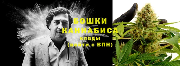 мет Нефтегорск