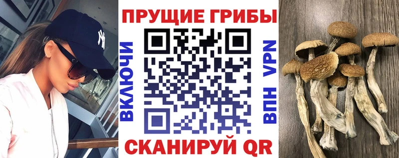 Галлюциногенные грибы мухоморы  Электроугли 